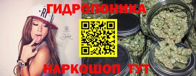стафф Обнинск